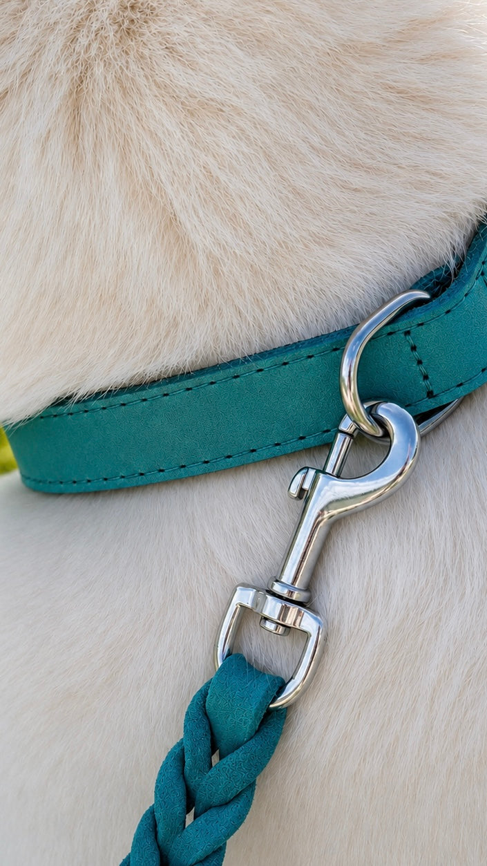 Collar de gamuza suave
