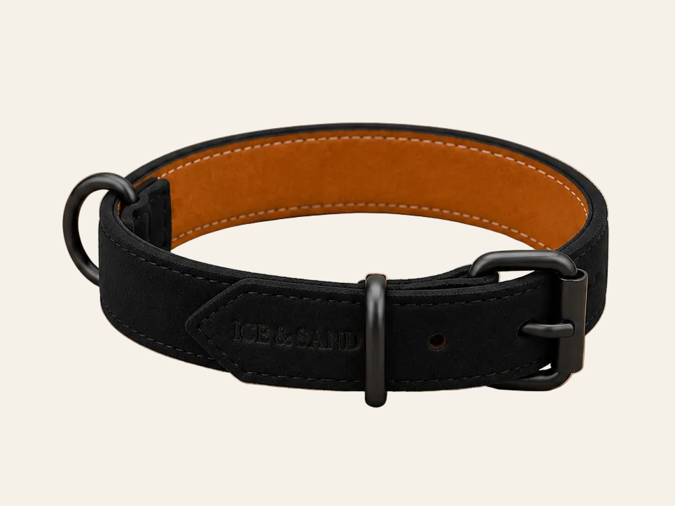 Dune Signature Collar