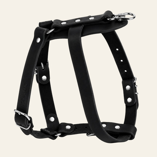 Dune Harness