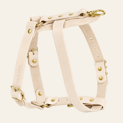 Dune Harness