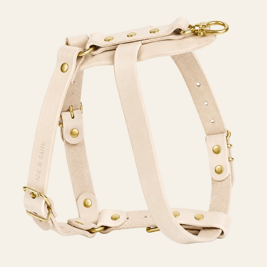 Dune Harness