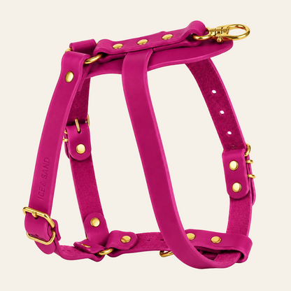 Dune Harness