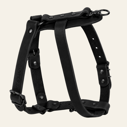 Dune Harness
