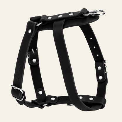 Dune Harness