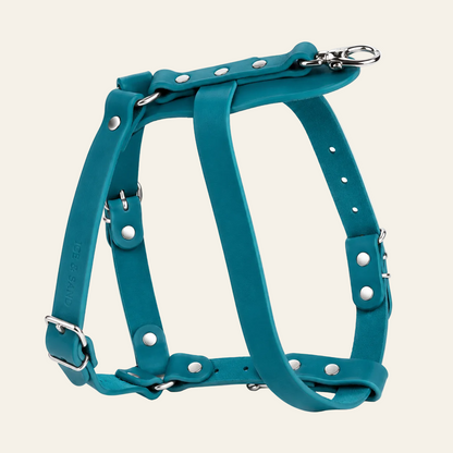 Dune Harness
