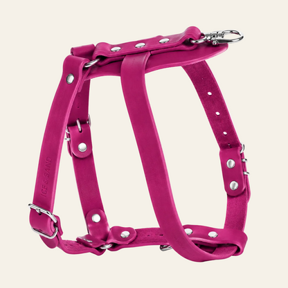Dune Harness