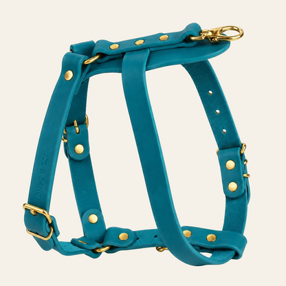 Dune Harness