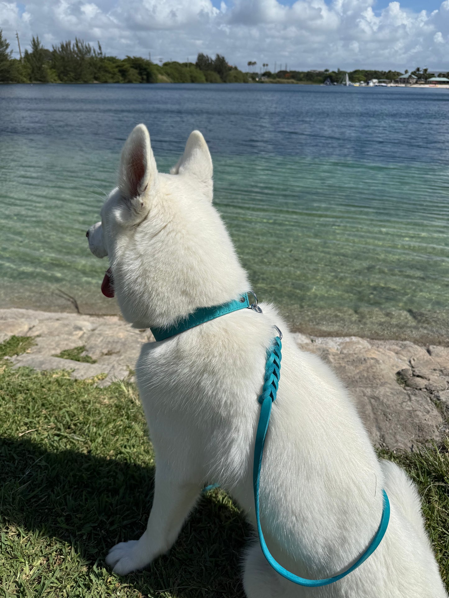 Collar de gamuza suave