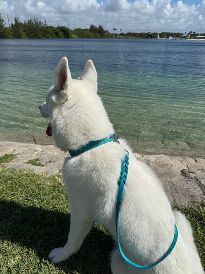 Collar de gamuza suave